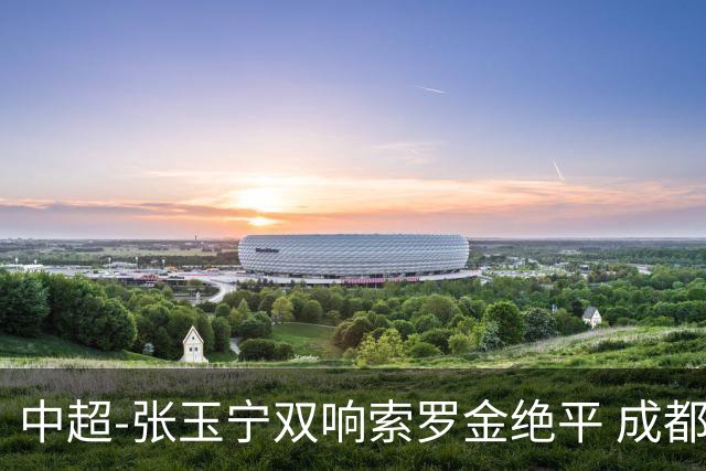 中超-张玉宁双响索罗金绝平 成都连扳两球2-2国安4连平