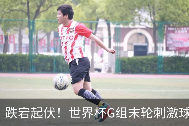 跌宕起伏！世界杯G组末轮刺激球迷心脏 伊朗狂喜过后遭打击